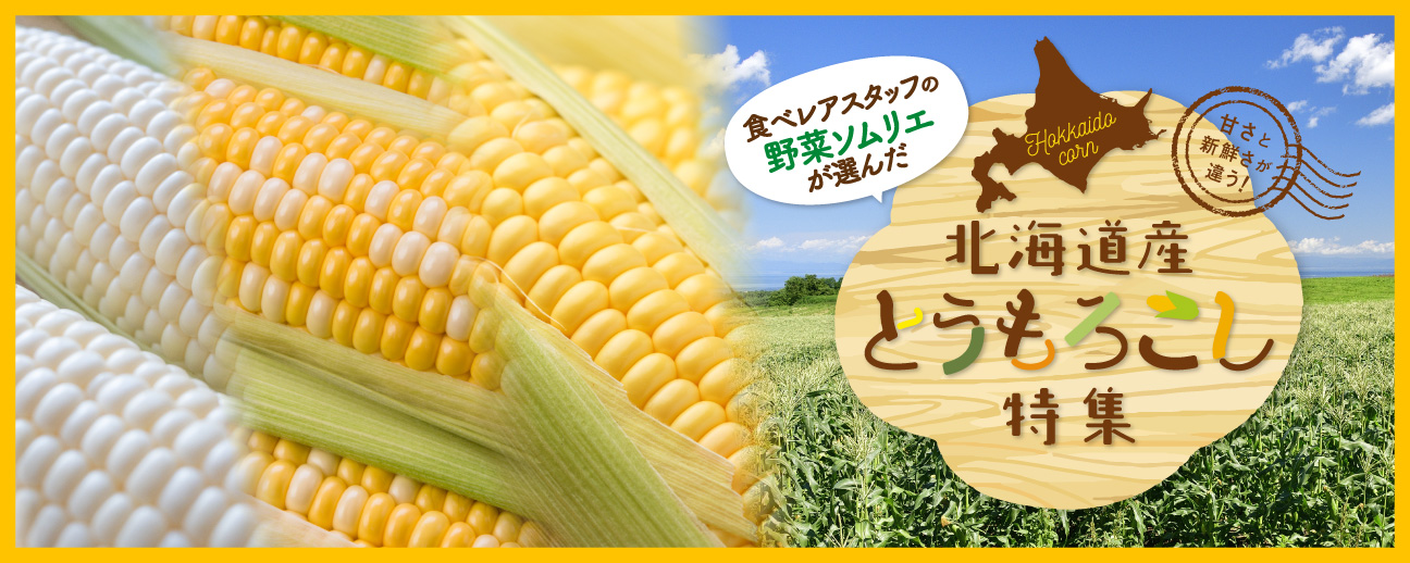 とうもろこし特集