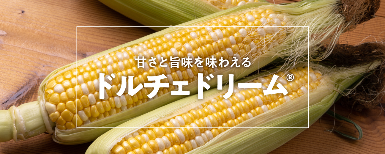 北海道のドリームドルチェ（とうもろこし）のお取り寄せ通販｜食べレア北海道