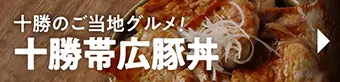 十勝帯広豚丼