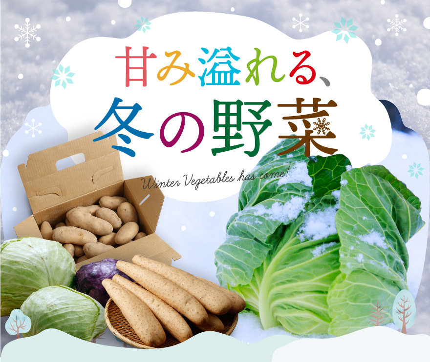 とても美味しそうな北海道の冬野菜