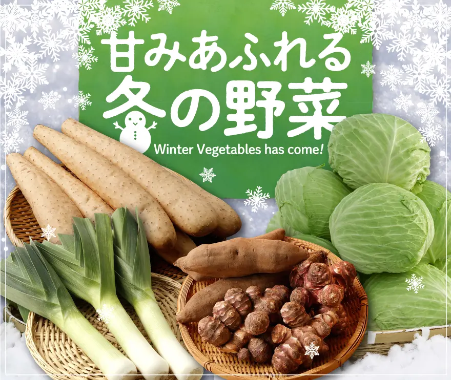 冬野菜特集