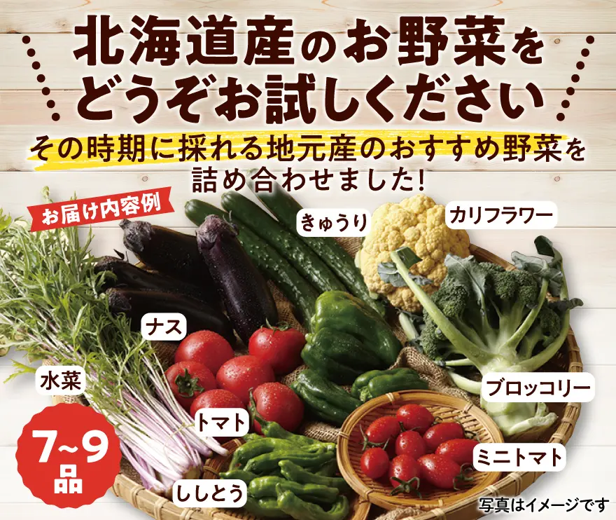 きのっ子ファーマーズ 採れたて野菜の詰め合わせセット