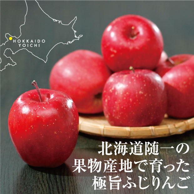 色艶よくとても美味しそうな北海道アグリドリームのサンふじりんご