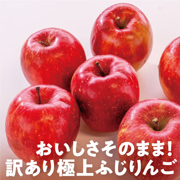 余市産　訳ありふじりんご　北海道の物産の「レア」な魅力を全国に発信するお取り寄せ通販サイト　5kg　食べレア北海道