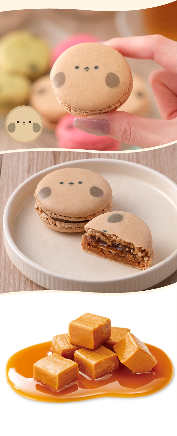 シマエナガのマカロン