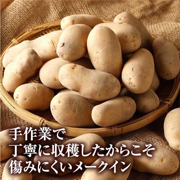 食べレア北海道　厚沢部産　北海道の物産の「レア」な魅力を全国に発信するお取り寄せ通販サイト　メークイン（2L～S混）　10kg