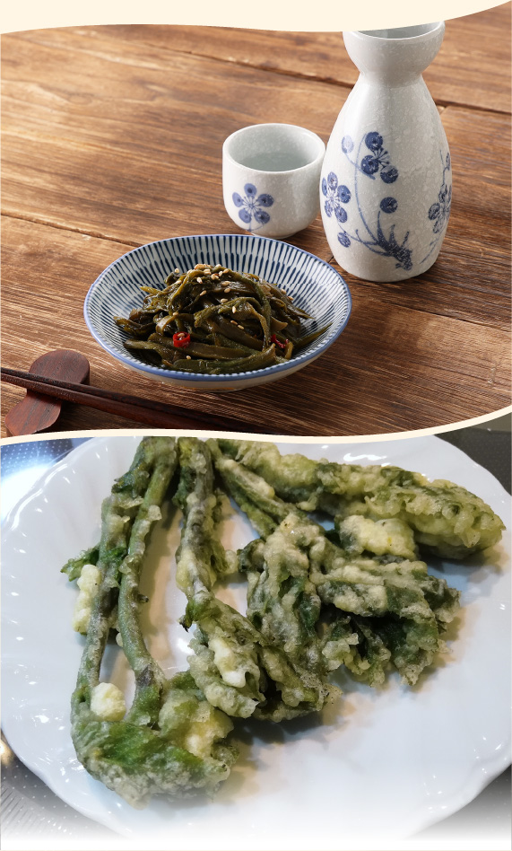 天然山うど