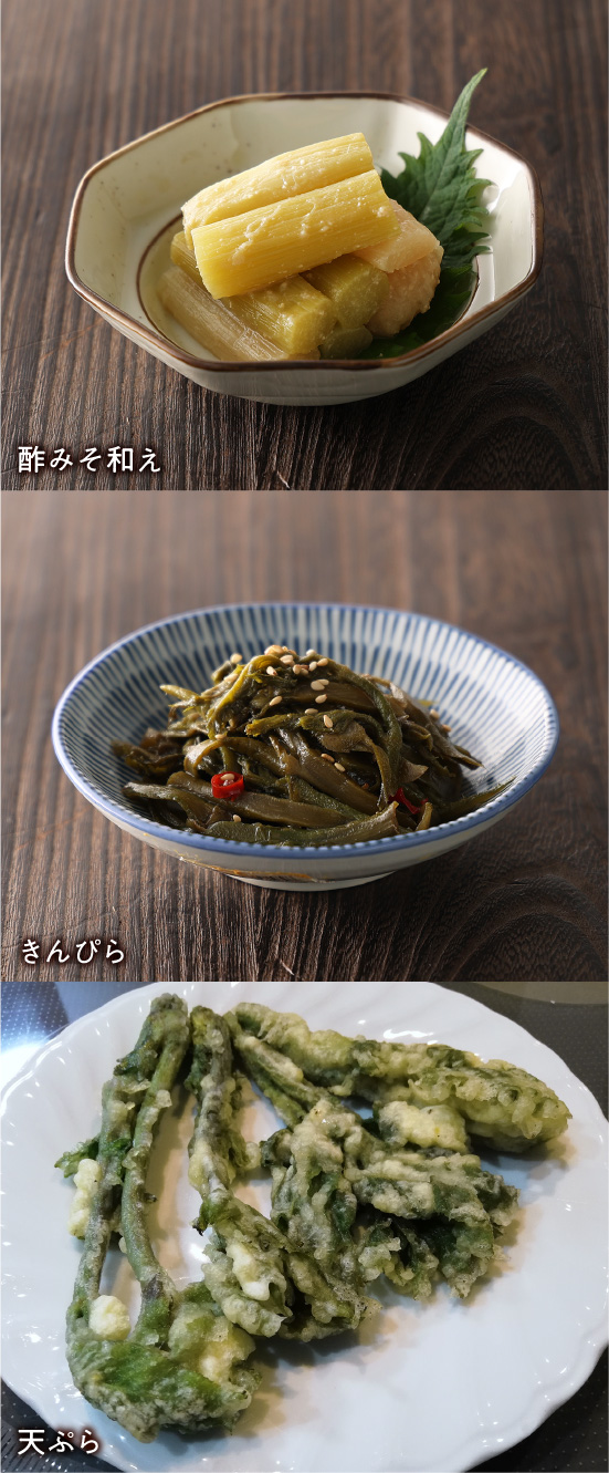 天然山うど