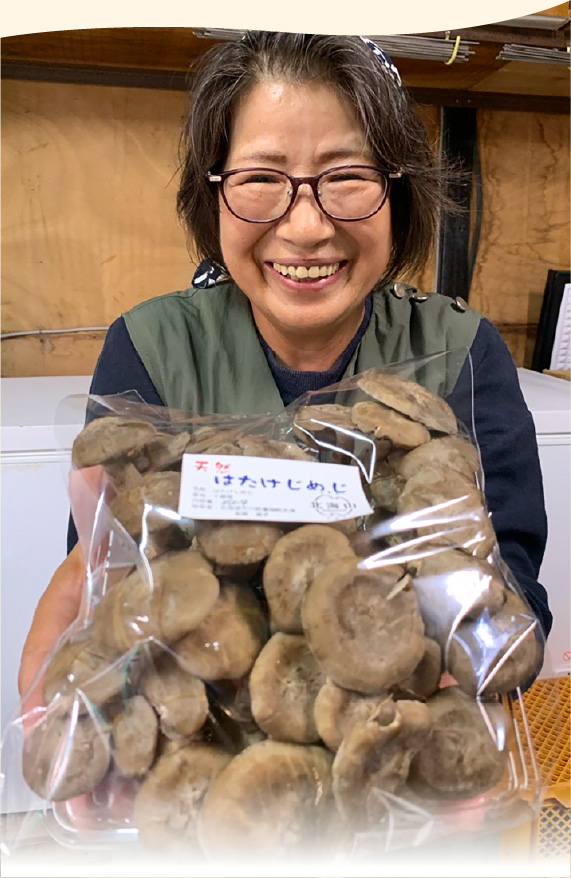 天然ハタケシメジ
