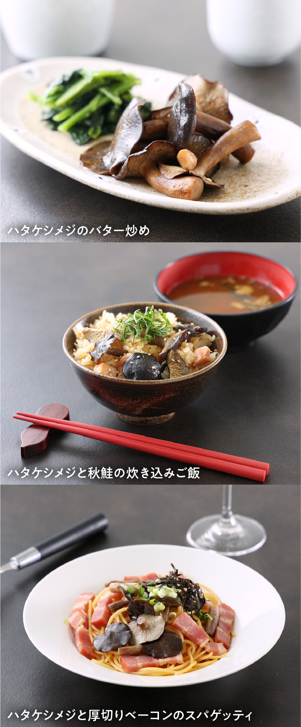 天然ハタケシメジ
