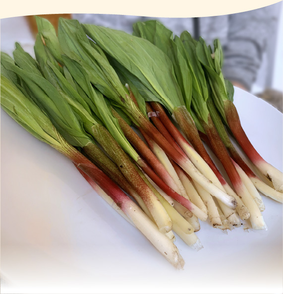 行者にんにく【生】醤油漬け