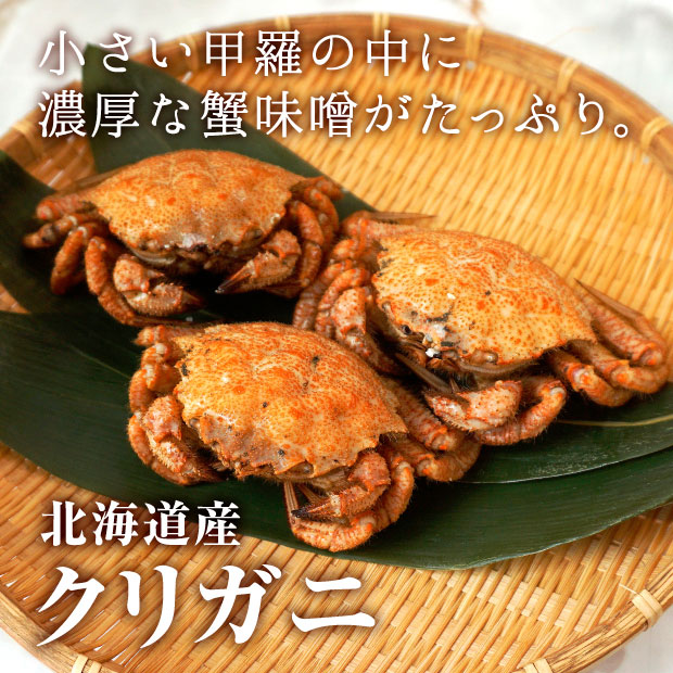  小さい甲羅の中に濃厚な蟹味噌がたっぷり。　北海道産　クリガニ