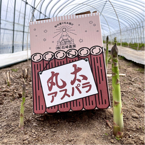 穂別産グリーンアスパラ