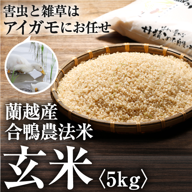 蘭越町産　物産　お取り寄せ　らんこし米（玄米）｜お米　｜食べレア北海道