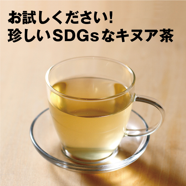 カップに注がれとても美味しそうなキヌア茶