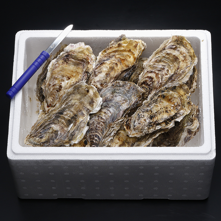 濃厚クリーミー 仙鳳趾の生牡蠣 Sサイズ 詰合せ 釧路 お取り寄せ 食べレア北海道 公式通販 濃厚クリーミー 仙鳳趾の生牡蠣 Sサイズ 詰合せ 釧路 お取り寄せ 食べレア北海道 公式通販