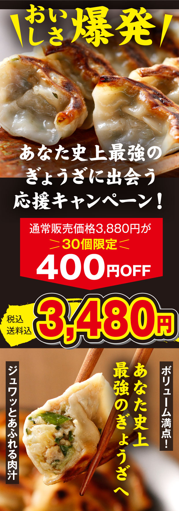 お取寄せ　｜餃子｜食べレア北海道　北の匠　帯広　60個　手造り餃子　物産