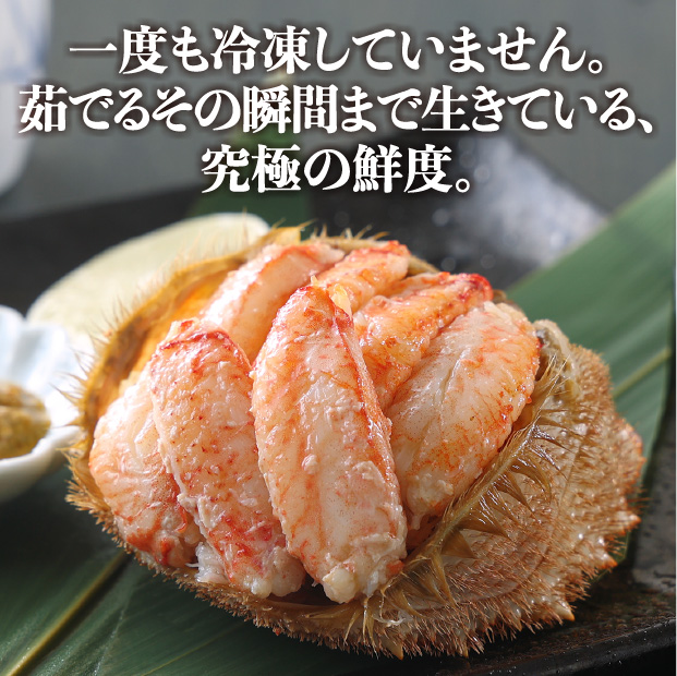 訳あり活毛ガニ