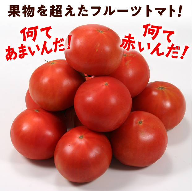 はるかエイト