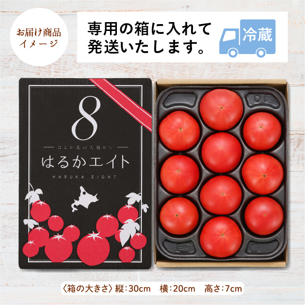 はるかエイト