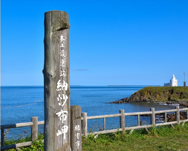 殻まで食べられる北海しまえび