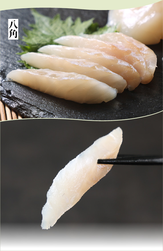 白い海鮮丼の具5種