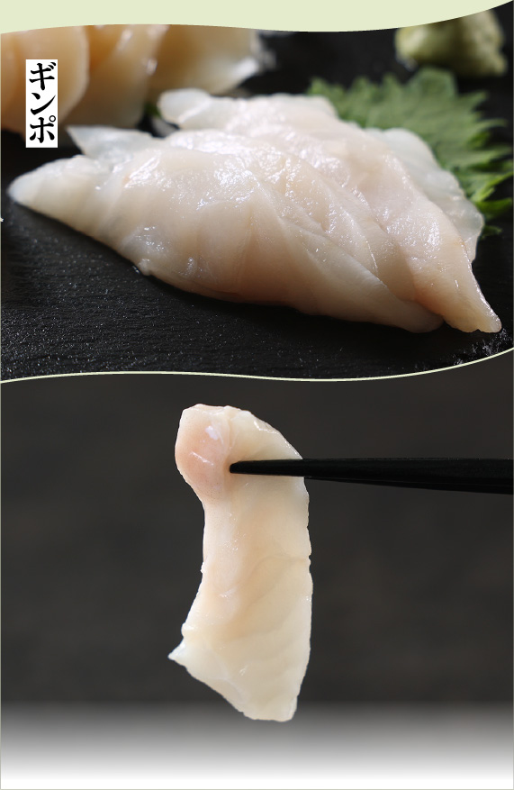 白い海鮮丼の具5種