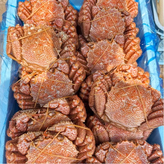 マルヤマ商店かにぎり