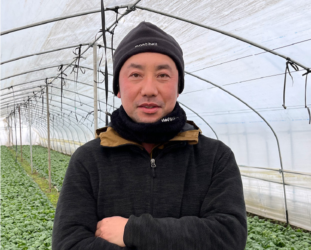 ゆきあまほうれん草