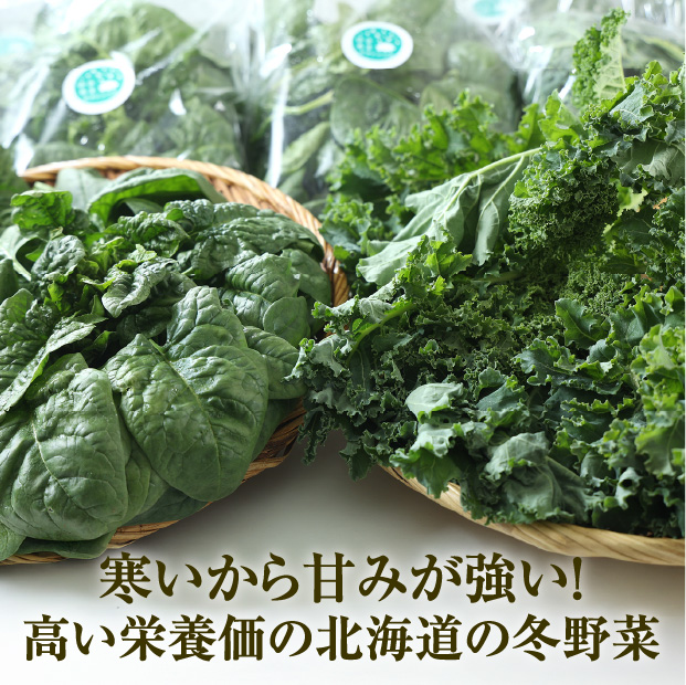 ゆきあまほうれん草とゆきあまケール