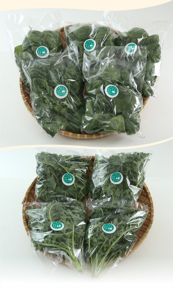 ゆきあまほうれん草とゆきあまケール