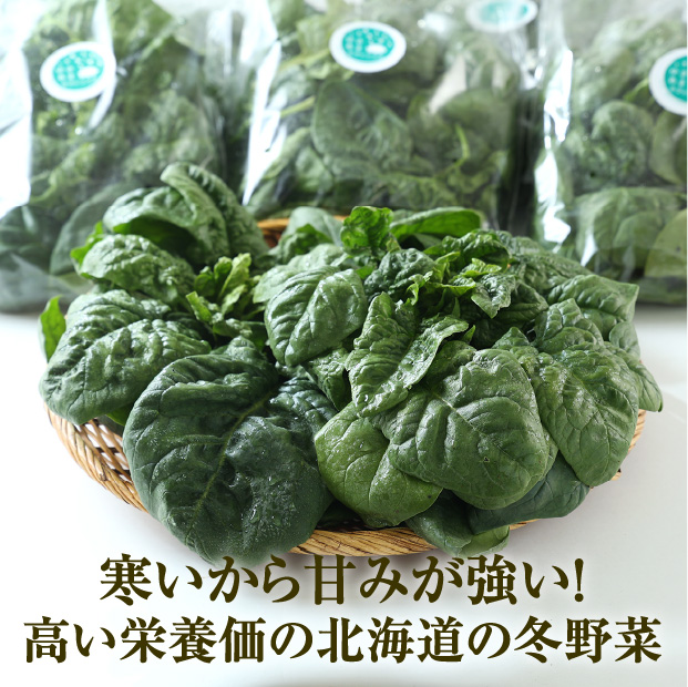 ゆきあまほうれん草