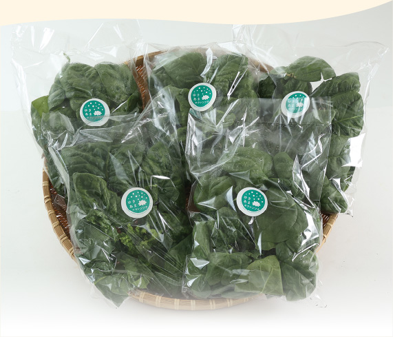 ゆきあまほうれん草