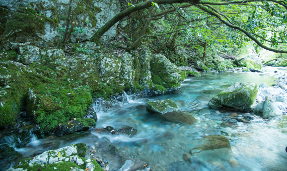 大自然を流れるオロフレ山系の水