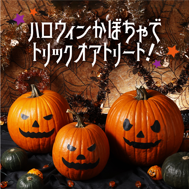 ハロウィンかぼちゃ Mサイズ 3玉 食べレア北海道 北海道の物産の「レア」な魅力を全国に発信するお取り寄せ通販サイト
