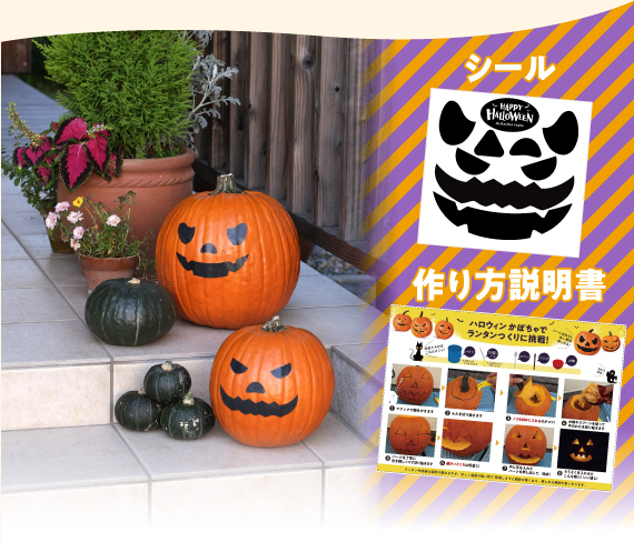 村岡農園 ハロウィンかぼちゃ　Mサイズ　3玉