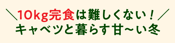 越冬キャベツレシピ