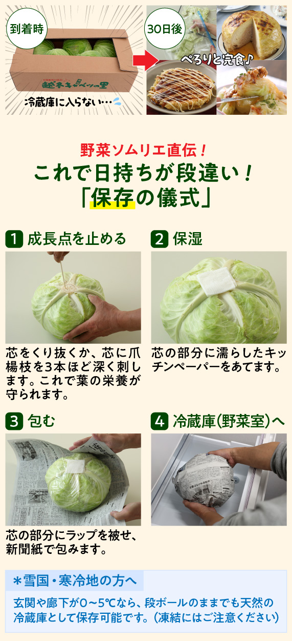 越冬キャベツレシピ