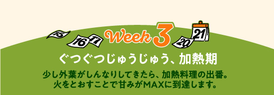 越冬キャベツレシピ