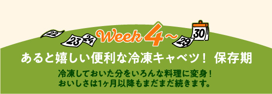 越冬キャベツレシピ