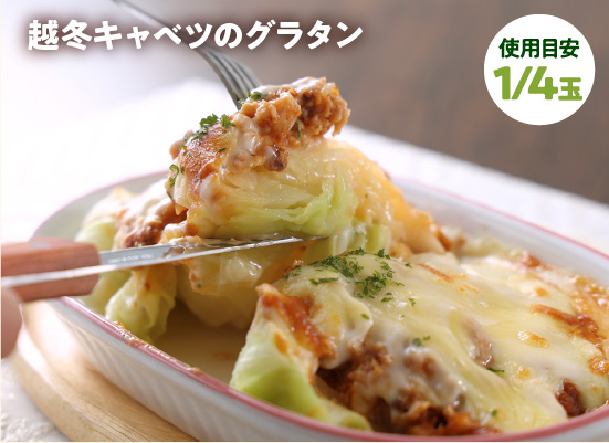 越冬キャベツレシピ