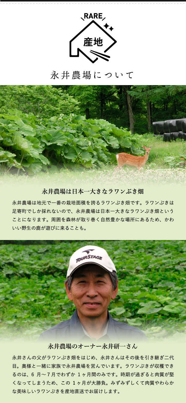 永井農場について　永井農場は日本一大きなラワンぶき畑　永井農場のオーナー永井研一さん