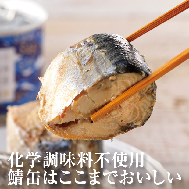 とても美味しそうな鯖の缶詰の箸上げ