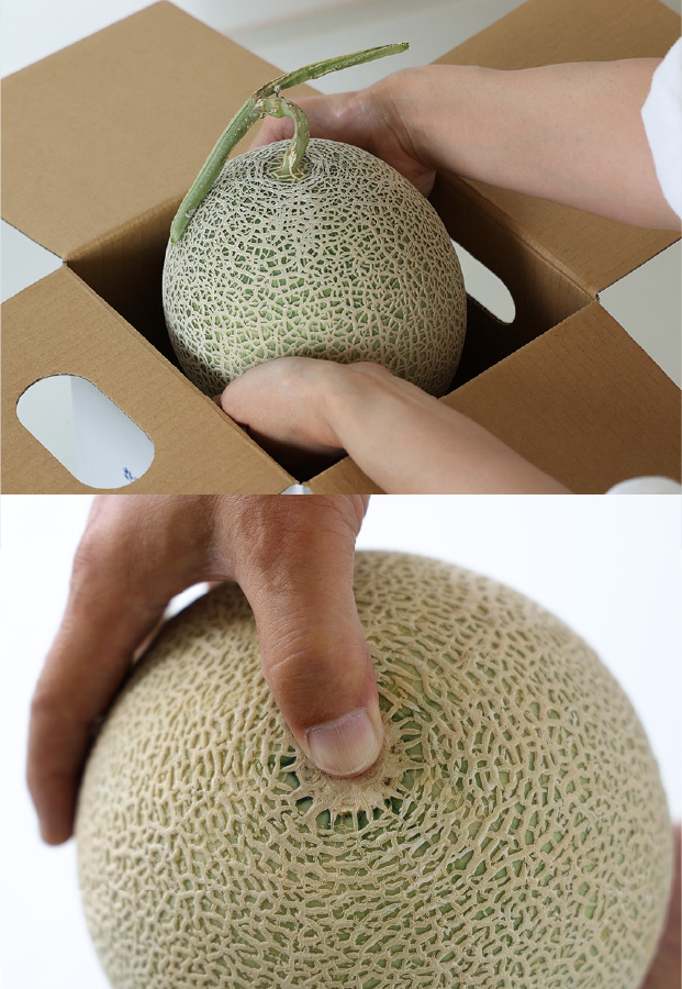 キングルビー 秀品