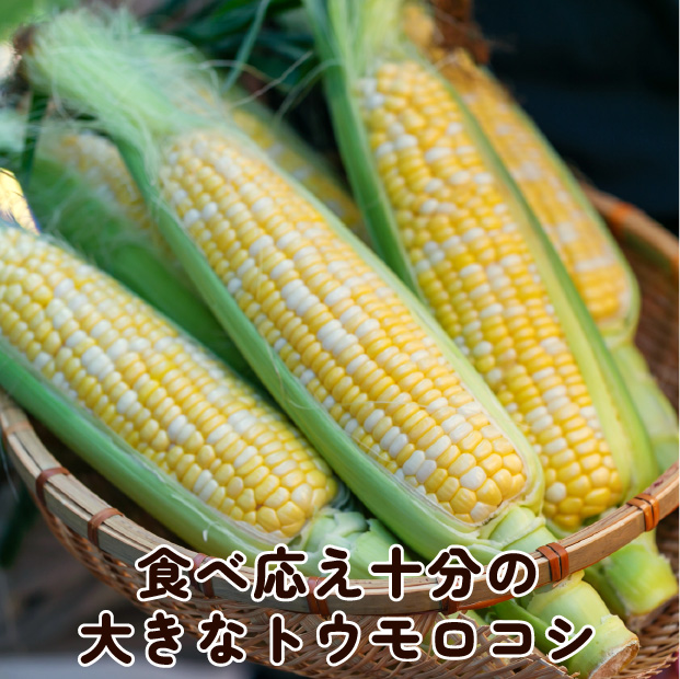 ゆめのコーンビッグ
