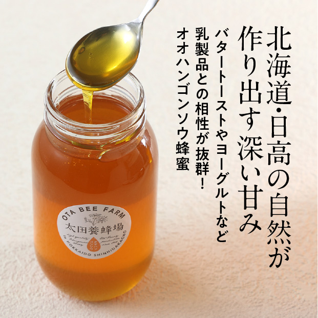 オオハンゴソウ蜜