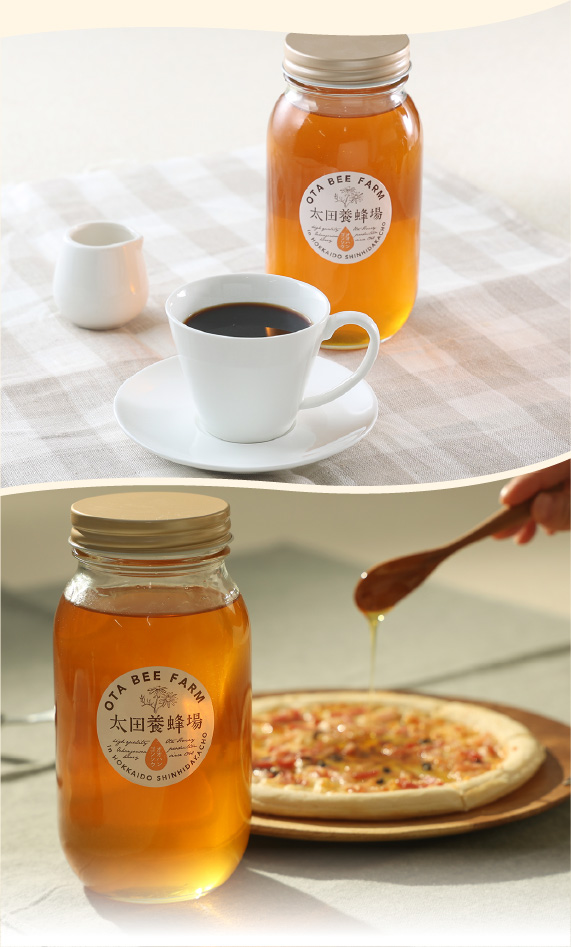 オオハンゴソウ蜜