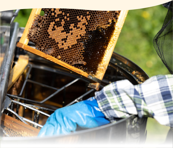 3種のはちみつセット