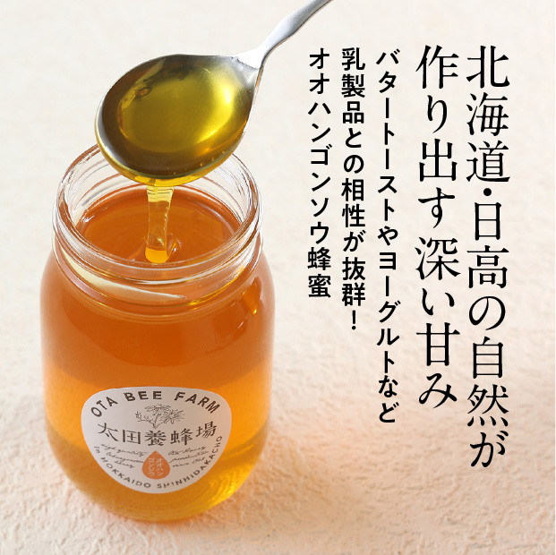 オオハンゴソウ蜜