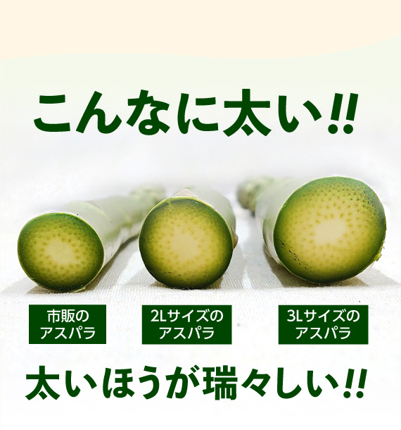 十勝産グリーンアスパラ「龍の髭」
